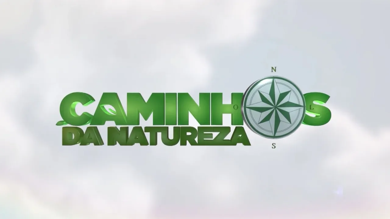 Caminhos da Natureza: Conheça a produção natural de mariscos no Litoral Catarinense