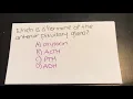 A P Endocrine Quiz