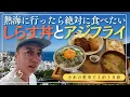 Download Lagu 【熱海旅行②】有名人がこぞって訪れるお店でしらす丼とアジフライをいただき、小木も唸る！！！