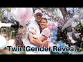Twin Gender Reveal Matching with an Expecting Mom Bad News