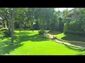 Relaxing Nature Sounds and Singing Birds for a Restful Sleep 10 hours