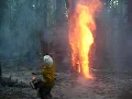 Exploding Cedar tree hits the ground - Ending