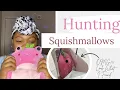 Squishmallow Hunting Rare Squish I Found Adabelle Pink Strawberry Frog Giveaway Sneak Peek