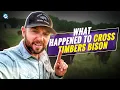 What happened to Cross Timbers Bison Farm