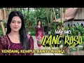 ILANG ROSO - LAILY SUCI KENDANG KEMPUL BANYUWANGI ( OFFICIAL MUSIC VIDEO ) @saefulapofficial6272