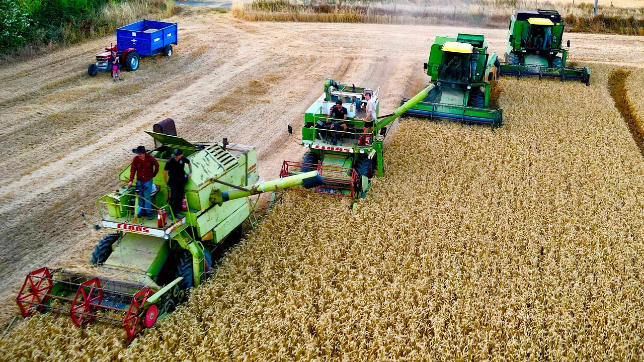 CROP GEAR