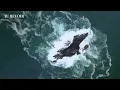 Ambient Music for Deep Work, Relaxation & Calm — Gideon Matthew