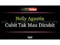 Download Lagu Karaoke Nelly Agustin - Cubit Tak Mau Dicubit