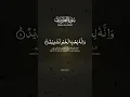 Download Lagu Surah Al-Adiyat | Mishary Rashid Alafasy #allah #zeealquran #quran #viral #shorts