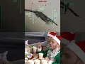 christmas dinner in the back of the gleipnir #acecombat #acecombatx