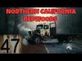 Lagu 3 Most Disturbing TRUE Northern California Redwoods Horror Stories | Nameless Fears