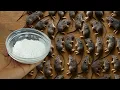 Download Lagu Kom op natuurlijke wijze van muizen en ratten af in slechts ÉÉN dag! 🐭✨