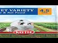 Kaytee Fiesta Pet Mouse and Rat Food 4 5 Pound