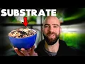Why You NEED This Substrate MD Fish Tanks