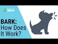 Bark Parent Monitoring App How Does It Work