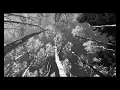 Download Lagu Doctor Flake - Cinema (Official Video)