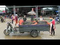 Lagu REWIND TIMALSPE --268 Days Harvesting A Lot Of Fish And Big Turtle Go To Countryside Market Sell