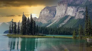 the forest breaths beautiful relaxing music peaceful soothing instrumental music by tim janis