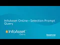 InfoAsset Online - Prompt Selection SQL Query
