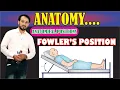Fowler s Position Anatomical Positions Explained Practically Learn Conceptually