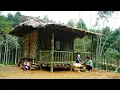 Lagu The Life of a Single Mother: 3 Months Building a Bamboo House and Foraging to Raise Her Child