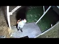 WATCH West Tennessee quadruple murder suspect spotted on camera in Jackson TN