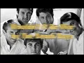 Wouldn't It Be Nice - The Beach Boys (with lyrics) [otherwise known as the old Cadbury theme song]