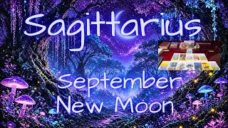 Sagittarius, 🌑 September New Moon in Virgo | Reset Your Life, Reclaim Your Power & Begin Again ♍✨