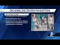 Oklahoma City Animal Shelter reopening for adoption event Friday a month after latest infection o
