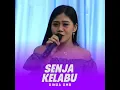 Download Lagu Viral ditik tok SENJA KELABU (dinding pemisah) Dinda Dmb