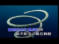 鄉間的小路~葉佳修~男Dm調~伴奏~導唱~金嗓(丙)