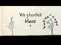 Mushaboom By Feist - Lyric Video