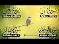 Download Lagu Beautiful Surah Yaseen (Yasin) | Surah Rahman | Surah Waqiah | Surah Mulk |