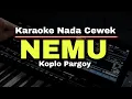 Download Lagu NEMU - DIFARINA INDRA || KARAOKE VERSI KOPLO PARGOY || NADA CEWEK