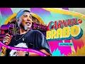 Download Lagu CARNAVAL DO BRABO - Japãozin (CD Completo)