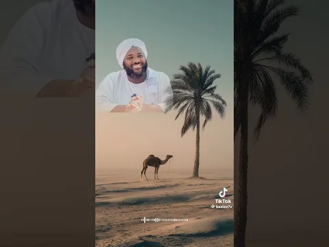 قصة الامير و الوزير  الشيخ محمد سيد حاج رحمه الله