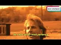 Download Lagu Air Supply - Goodbye (Tradução) (Legendado) (Clipe Oficial)