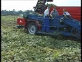 Download Lagu Cucumber harvester - ASA-LIFT