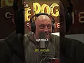 Download Lagu Joe Rogan: Kauwtabak