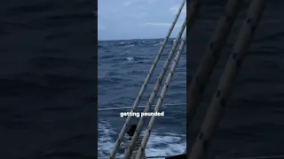 30 Knots and a Sea That Won’t Quit