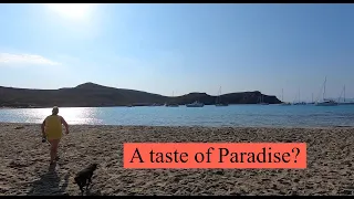 A Taste of Paradise? OTB 108