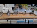Jedds Bird Supplies - April 2023 Bird Sale