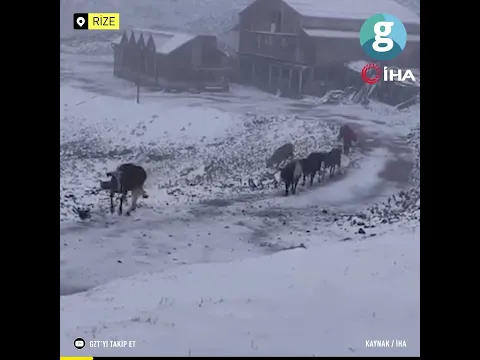 Rize'nin yaylalarına Eylül'de kış geldi, beyaza büründü