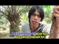 Download Lagu LAGU LAWAK JAMBI - PUDAI FEAT PARKASIH - PUTUS TALI PANGEBAT