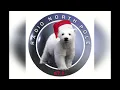 GTA Matanuska [Radio North Pole 67.1] Peter Belec & Soundscape Architects- Nurture (2021)