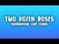 Shenandoah & Luke Combs - Two Dozen Roses (Lyrics)