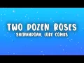Lagu Shenandoah \u0026 Luke Combs - Two Dozen Roses (Lyrics)