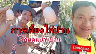 เลี้ยงไก่บ้าน สร้างรายได้ดี หนีเมืองกรุงสู่อีสานบ้านเกิด เพื่อพัฒนาต่อยอดบนพื้นดินของตนเอง