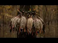 Arkansas Flooded Timber Duck Hunt in a DOWNPOUR 6 Limits