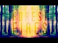 Axel Flóvent - Forest Fires [ Lyrics Soul ⚡ Music ]